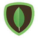 MongoDB MongoDB