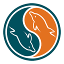 MySQL MySQL